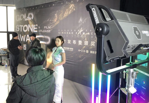 Premio Caster X Gold Stone